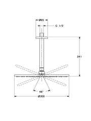 HansaViva Overhead Shower Rose Round Dia. 300mm #4427 0300