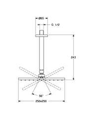 HansaViva Overhead Shower Rose Square 250mm #4427 0340