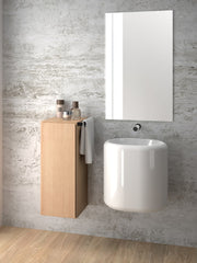 Status Wall-Mounted / Counter-top Basin #123330