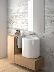 Status Wall-Mounted / Counter-top Basin #123330