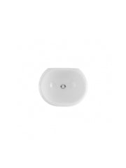 Status Wall-Mounted / Counter-top Basin #123330